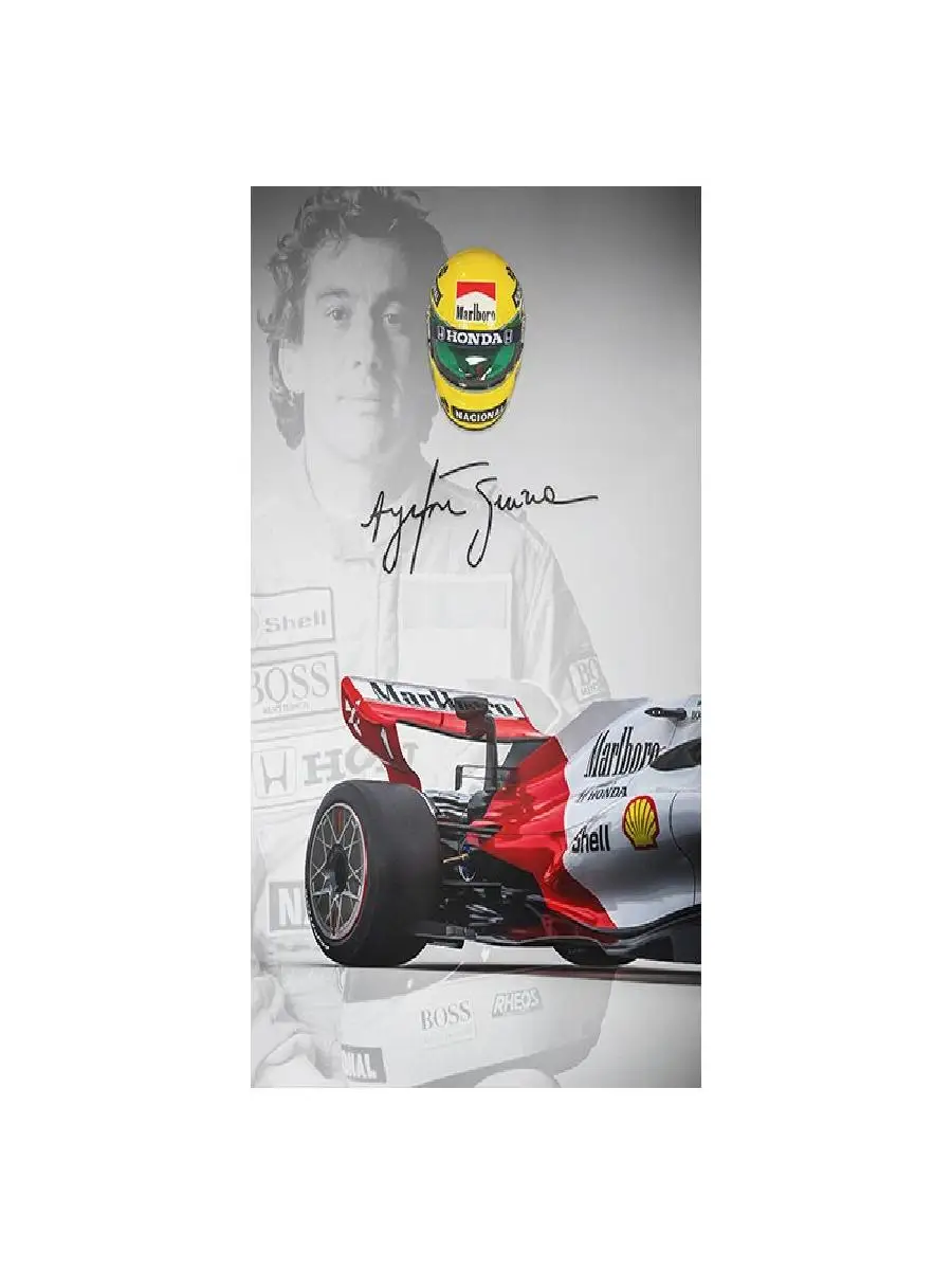 Ayrton Senna Grand Prix Racing - Home Office Icon のレビューと価格